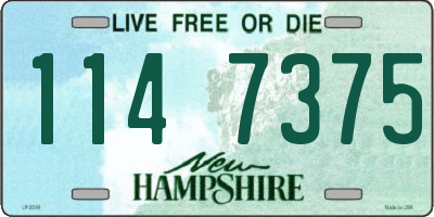 NH license plate 1147375