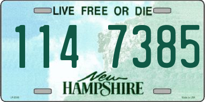 NH license plate 1147385