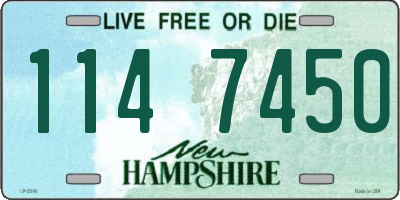 NH license plate 1147450
