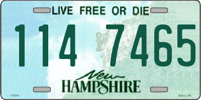 NH license plate 1147465