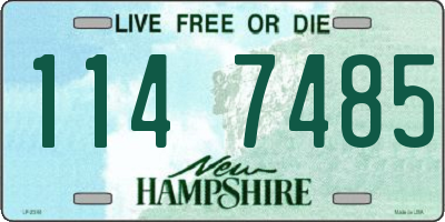 NH license plate 1147485