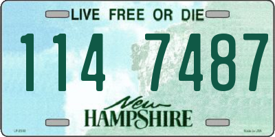 NH license plate 1147487
