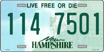 NH license plate 1147501