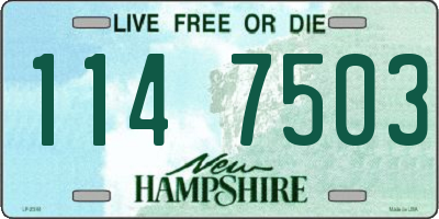 NH license plate 1147503