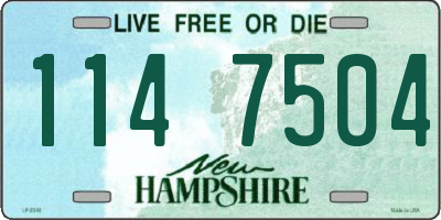 NH license plate 1147504