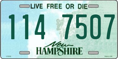 NH license plate 1147507