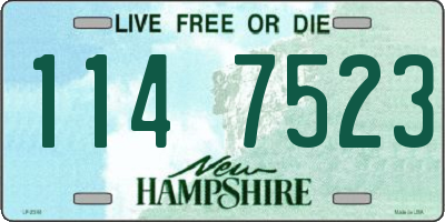 NH license plate 1147523