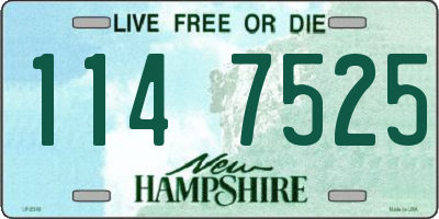 NH license plate 1147525