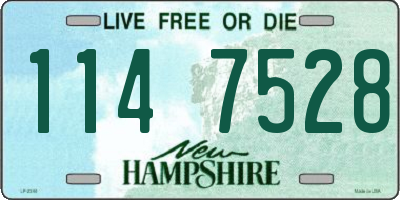 NH license plate 1147528