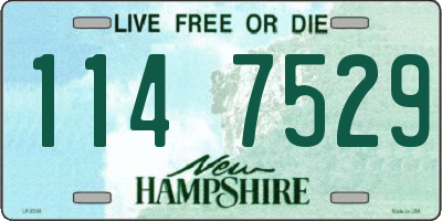 NH license plate 1147529