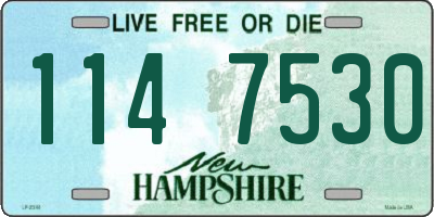 NH license plate 1147530
