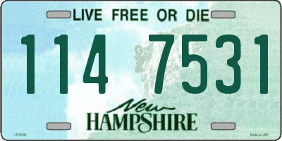 NH license plate 1147531