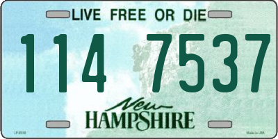 NH license plate 1147537