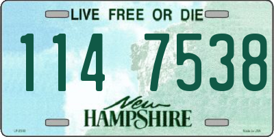 NH license plate 1147538