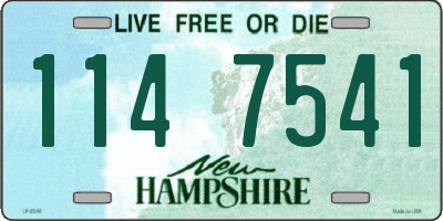 NH license plate 1147541