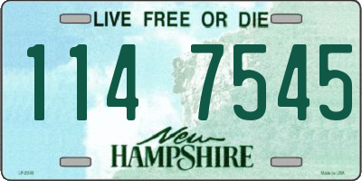 NH license plate 1147545