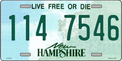 NH license plate 1147546
