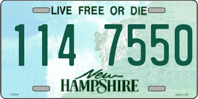 NH license plate 1147550