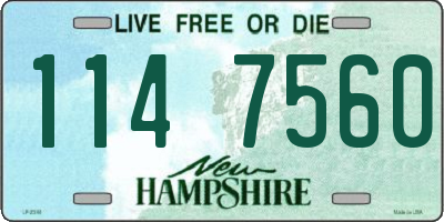 NH license plate 1147560