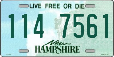 NH license plate 1147561