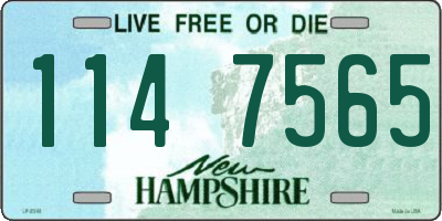 NH license plate 1147565