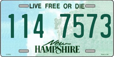 NH license plate 1147573