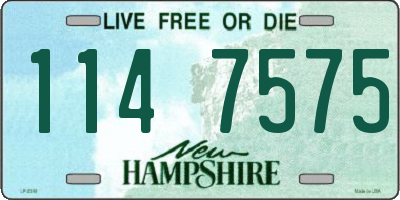 NH license plate 1147575