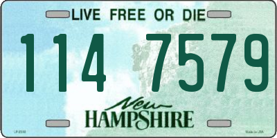NH license plate 1147579