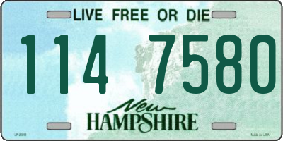 NH license plate 1147580