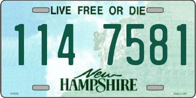 NH license plate 1147581