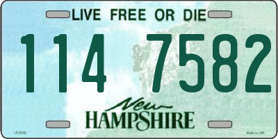 NH license plate 1147582