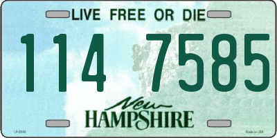 NH license plate 1147585