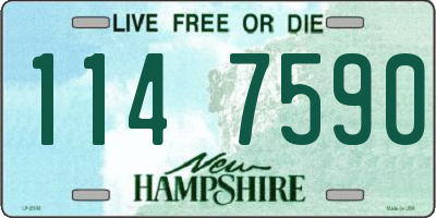 NH license plate 1147590