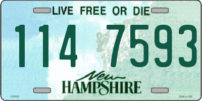 NH license plate 1147593