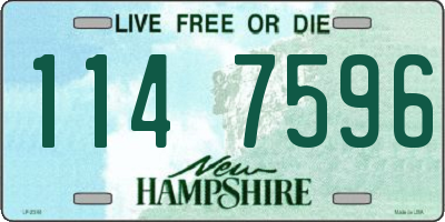 NH license plate 1147596