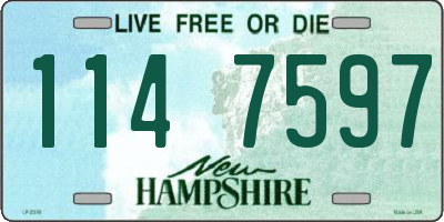 NH license plate 1147597