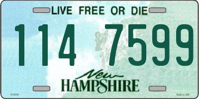 NH license plate 1147599