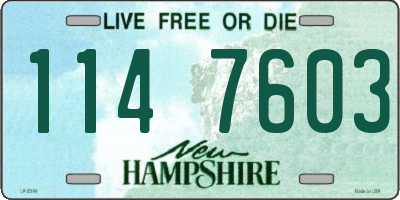 NH license plate 1147603