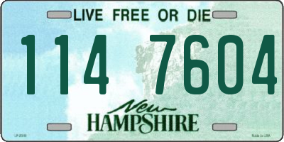 NH license plate 1147604