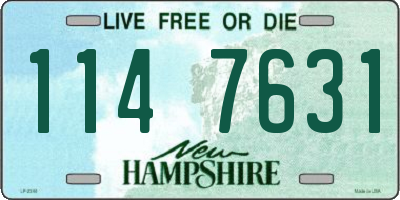NH license plate 1147631