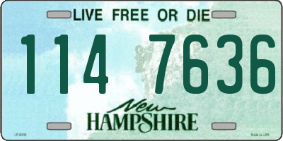 NH license plate 1147636