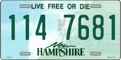NH license plate 1147681