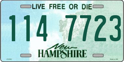 NH license plate 1147723