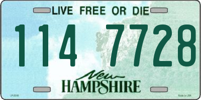 NH license plate 1147728