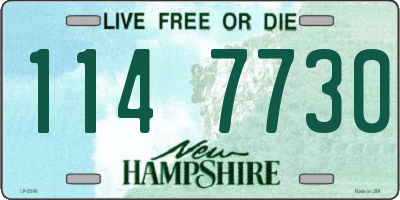 NH license plate 1147730