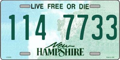 NH license plate 1147733