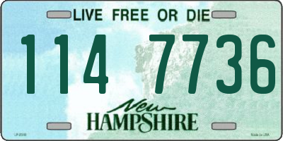 NH license plate 1147736