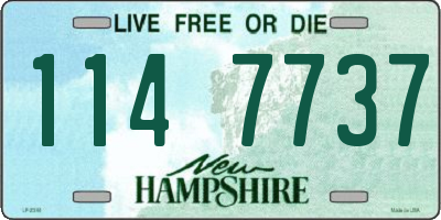 NH license plate 1147737