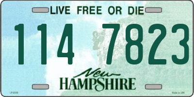 NH license plate 1147823