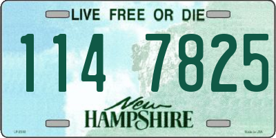 NH license plate 1147825